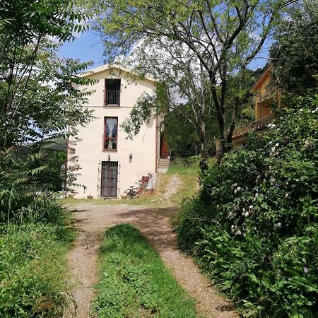 La Peonia Casa Vacanze In Montagna Prato Verde Panorama Stupendo Sardegna Seùlo 외부 사진